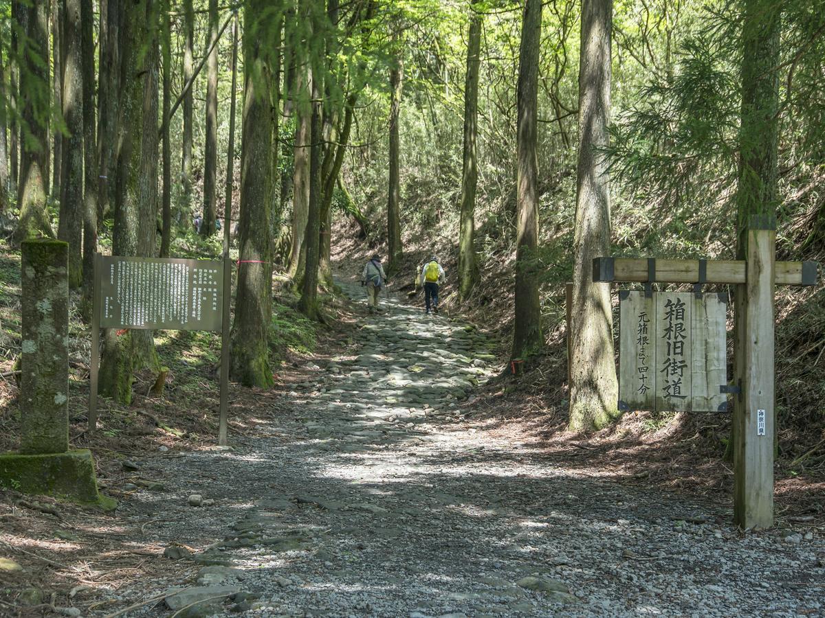 Tkp Lectore Hakone Gora Exterior photo